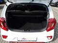 Kia Picanto GT-LINE 1.0T 100PS KAMERA+SITZHZG+AC-AUTOM+NAVI-AP Weiß - thumbnail 13