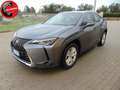 Lexus UX 250h UX Hybrid Design Grey - thumbnail 1