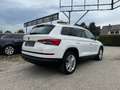 Skoda Kodiaq 2,0 TDI SCR 4x4 Style DSG  7 Sitze **Eintausch*... Weiß - thumbnail 4