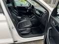 Skoda Kodiaq 2,0 TDI SCR 4x4 Style DSG  7 Sitze **Eintausch*... Weiß - thumbnail 10