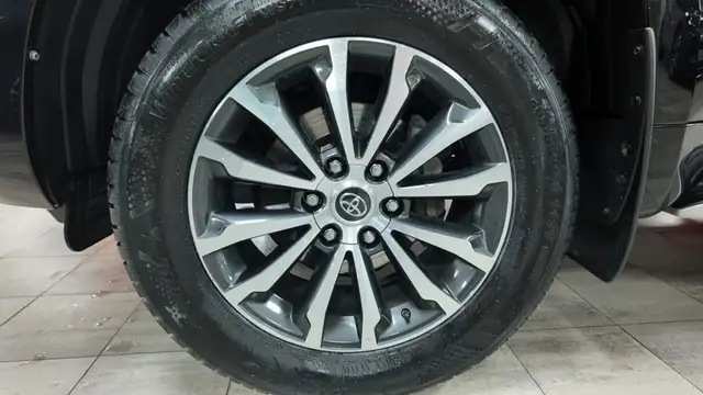 Toyota Land Cruiser view 11