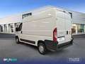 Fiat Ducato 35 L3H2 Nat.Pow(100kW) EU6 Dtemp GNC - Wit - thumbnail 5