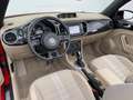 Volkswagen Beetle Cabriolet Sport *DSG *NAVI *Bi-XENON*PDC* Rosso - thumbnail 18