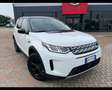 Land Rover Discovery Sport 2.0 D TD4 MHEV R-Dynamic S Weiß - thumbnail 20