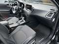 Kia XCeed Xceed 1,5 TGDI 48V GPF Gold DCT Schwarz - thumbnail 17