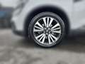 Renault Koleos II 2.0BLUEdCi185 Initiale Paris 4WD (EU 6d) Blanc - thumbnail 7