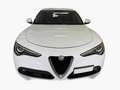 Alfa Romeo Stelvio 2.2 t Q4 210cv AT8 Full Opt Pelle Pinze Rosse 20' Weiß - thumbnail 2