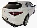 Alfa Romeo Stelvio 2.2 t Q4 210cv AT8 Full Opt Pelle Pinze Rosse 20' Weiß - thumbnail 6