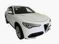 Alfa Romeo Stelvio 2.2 t Q4 210cv AT8 Full Opt Pelle Pinze Rosse 20' Weiß - thumbnail 1