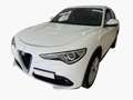 Alfa Romeo Stelvio 2.2 t Q4 210cv AT8 Full Opt Pelle Pinze Rosse 20' Weiß - thumbnail 3