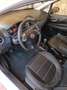 Fiat Punto Evo 5 P. 1.2 benzina 150 anniversary Bianco - thumbnail 8