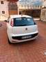Fiat Punto Evo 5 P. 1.2 benzina 150 anniversary Bianco - thumbnail 3