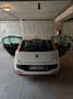 Fiat Punto Evo 5 P. 1.2 benzina 150 anniversary Bianco - thumbnail 14