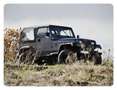 Jeep Wrangler YJ 4.0L Grau - thumbnail 1