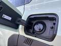 Fiat Grande Panda MHEV 81kW (110cv) Icon Verde - thumbnail 28
