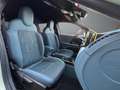 Fiat Grande Panda MHEV 81kW (110cv) Icon Zielony - thumbnail 13