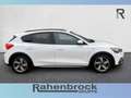 Ford Focus Active Lim. EcoBoost Blanc - thumbnail 3