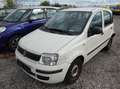 Fiat Panda 1,2 City Blanc - thumbnail 2
