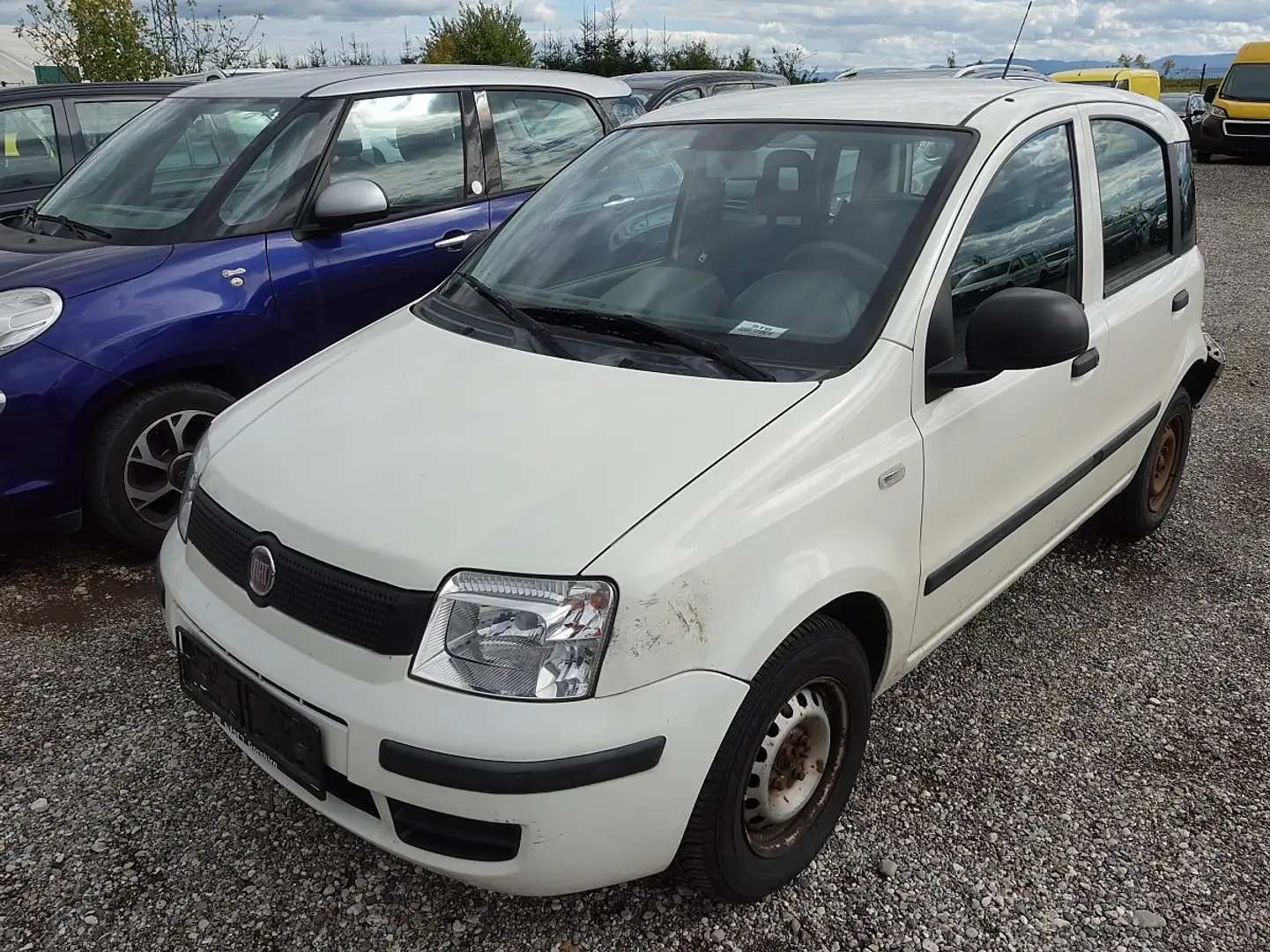 Fiat Panda 1,2 City Blanc - 2