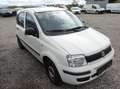 Fiat Panda 1,2 City Blanc - thumbnail 1
