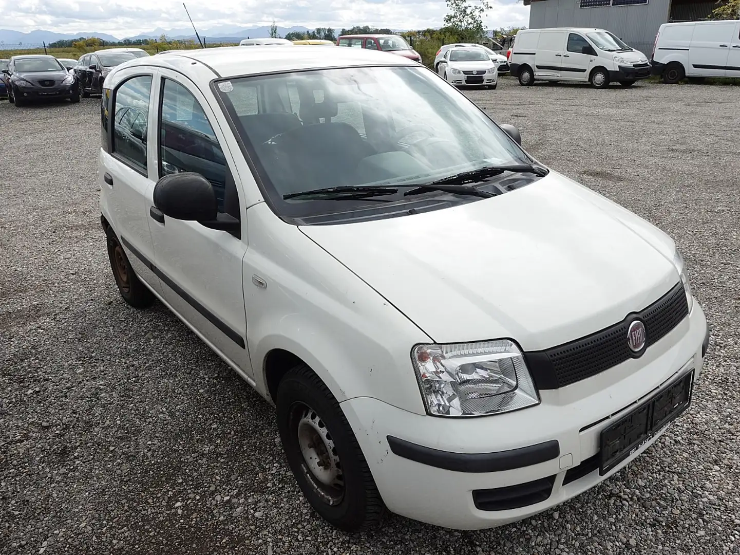 Fiat Panda 1,2 City Blanc - 1