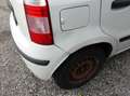 Fiat Panda 1,2 City Blanc - thumbnail 4