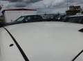 Fiat Panda 1,2 City Blanc - thumbnail 8
