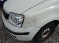 Fiat Panda 1,2 City Blanc - thumbnail 7