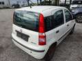 Fiat Panda 1,2 City Blanc - thumbnail 6