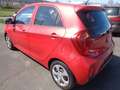 Kia Picanto Edition 7 ** incl. GARANTIE** Rot - thumbnail 5