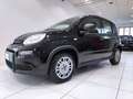 Fiat Panda 1.0 HYBRID*PROMO*PRONTA CONSEGNA* Nero - thumbnail 14