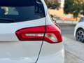 Ford Focus 1.6TDCi Titanium 115 Beige - thumbnail 11