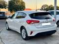Ford Focus 1.6TDCi Titanium 115 Beige - thumbnail 4