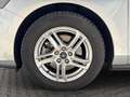 Ford Focus Focus SW 1.5 ecoblue Business s Argento - thumbnail 15