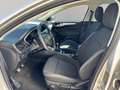 Ford Focus Focus SW 1.5 ecoblue Business s Argento - thumbnail 8