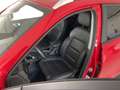 DR Automobiles DR4 DR 4.0 4.0 1.5 Gpl 114cv Rosso - thumbnail 12