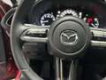 Mazda CX-30 2.0 Skyactiv-G Evolution 2WD 90kW Rojo - thumbnail 19