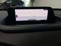 Mazda CX-30 2.0 Skyactiv-G Evolution 2WD 90kW Rojo - thumbnail 26