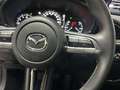 Mazda CX-30 2.0 Skyactiv-G Evolution 2WD 90kW Rojo - thumbnail 21