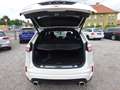 Ford Edge ST-Line 4x4 Eco Blue 21 Zoll Borbet Alufelgen Weiß - thumbnail 8