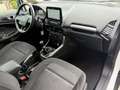Ford EcoSport 1.0 EcoBoost Titanium Navi Camera Stoelverw. Wit - thumbnail 8