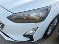 Ford Focus Familiar Manual de 5 Puertas Blanc - thumbnail 4