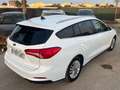 Ford Focus Familiar Manual de 5 Puertas Blanc - thumbnail 9