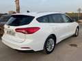 Ford Focus Familiar Manual de 5 Puertas Blanc - thumbnail 8
