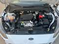 Ford Focus Familiar Manual de 5 Puertas Blanc - thumbnail 13