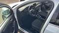Ford Focus Familiar Manual de 5 Puertas Blanc - thumbnail 14