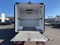 Opel Movano 2 Kammer,Carrier,-20°C Tiefkühl,Strom Blanc - thumbnail 7