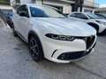Alfa Romeo Tonale 1.6 diesel 130 CV TCT6 Ti Bianco - thumbnail 3