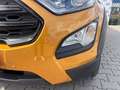 Ford EcoSport 1.0 EcoBoost 125 CV Start&Stop Active Arancione - thumbnail 15
