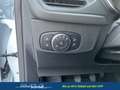 Ford Focus Turnier Cool & Connect 1,0 Ltr. - 125 PS EcoBoo... Weiß - thumbnail 12